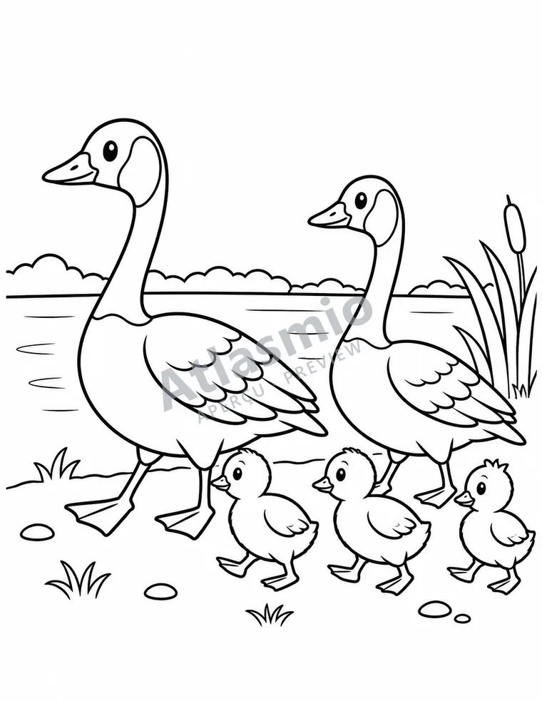 Illustration à colorier : Les bernaches au bord de l’eau