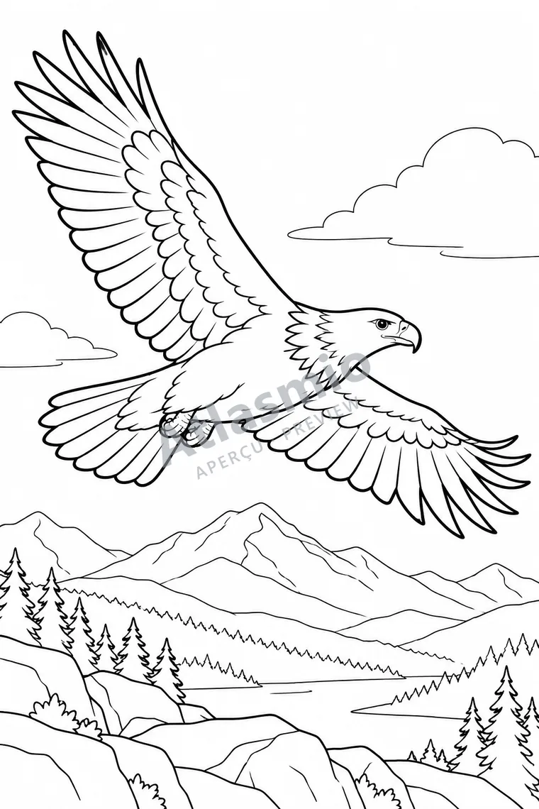 Colouring illustration: Golden Eagle