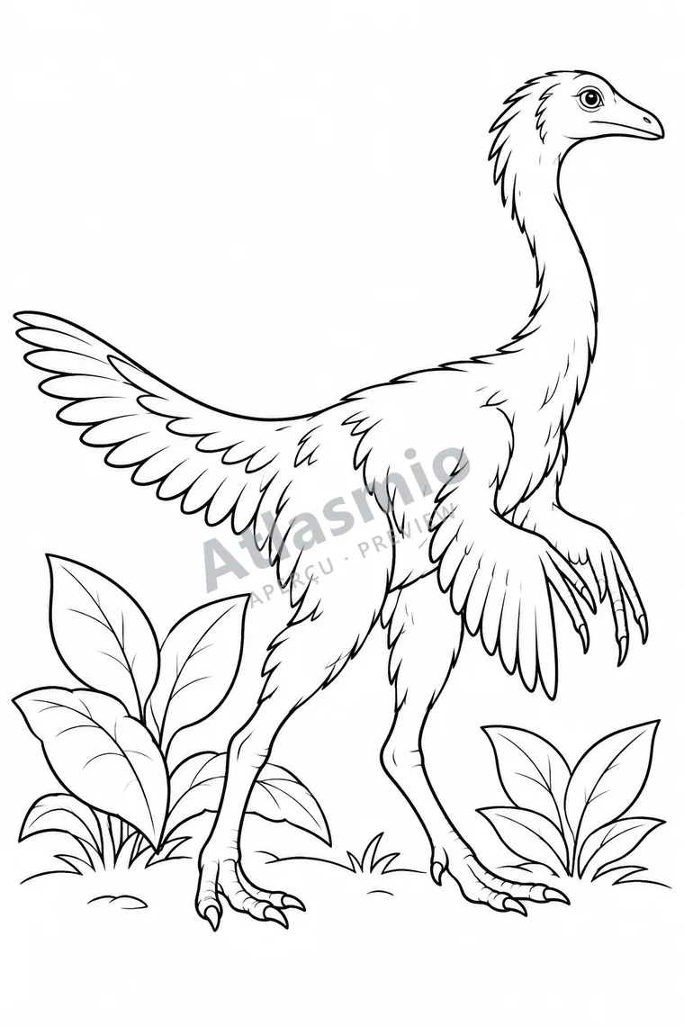 Colouring illustration: Chirostenotes