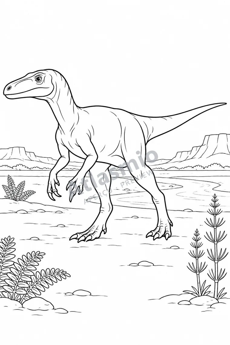 Colouring illustration: Herrerasaurus