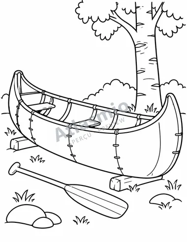 A birchbark canoe