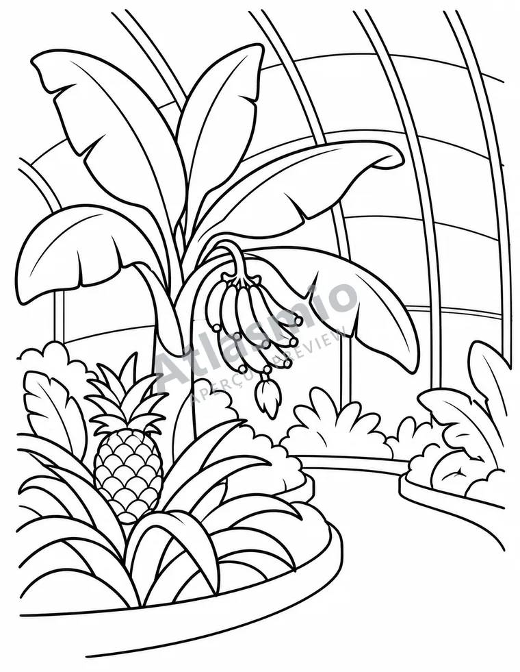 Colouring illustration: Under the greenhouse roof
